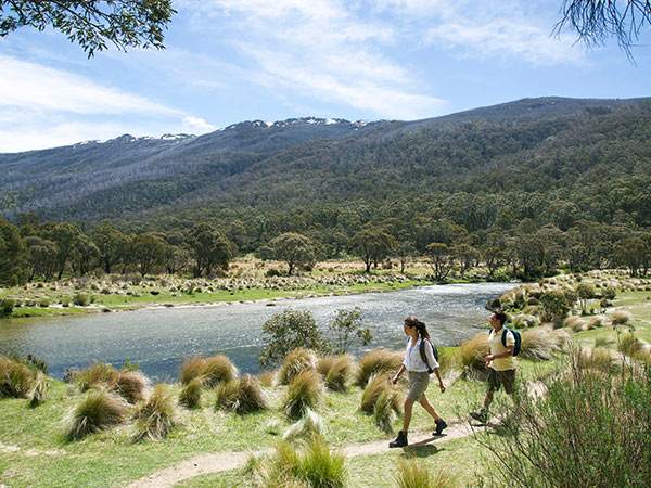 Thredbo Diggings