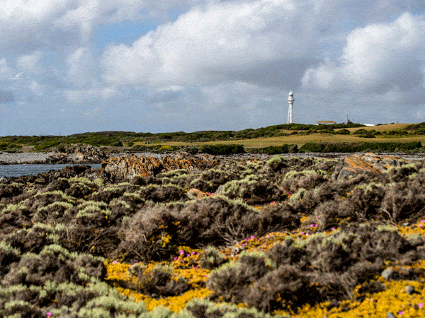 King Island, Tasmania