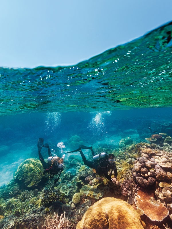 diving into the Agincourt Reef