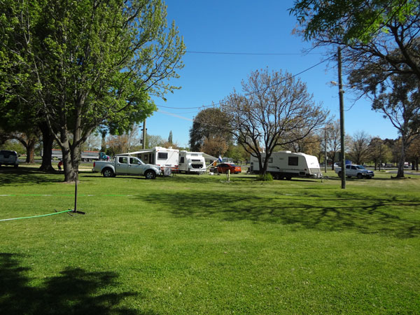 the caravan site at Bathurst Showground
