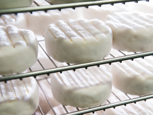 cheese products available for sale at Binnorie Dairy, Lovedale 