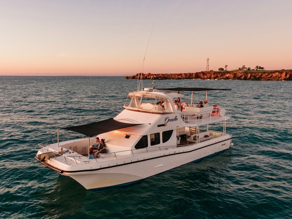 a Snubfin Dolphin Cruise with Broome Whale Watching, Broome