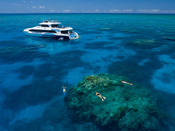 an aerial view of the Silverswift and its passengers snorkelling in Flynn Reef, Cairns 