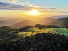 sunrise views at O'Reilly's Rainforest Retreat