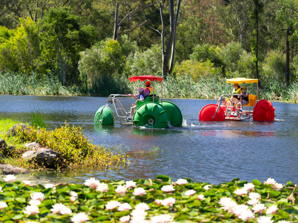 the Thunderbird Park, Gold Coast Hinterland