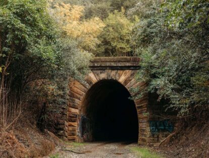 the dark entrance of Picton Mushroom Tunnel
