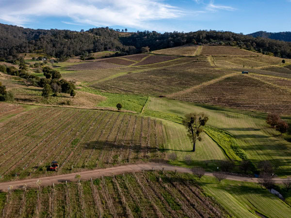 the scenic grounds of Hunter Valley from above