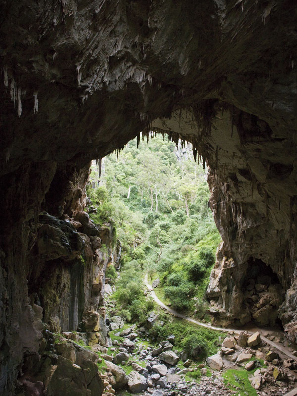 the entrance of Jenolan Caves