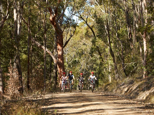 a family mountain biking in the Blue Mountains National Park 