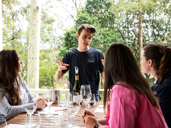 the immersive wine tasting experience, Mystery Vineyard Tour, Briar Ridge Estate