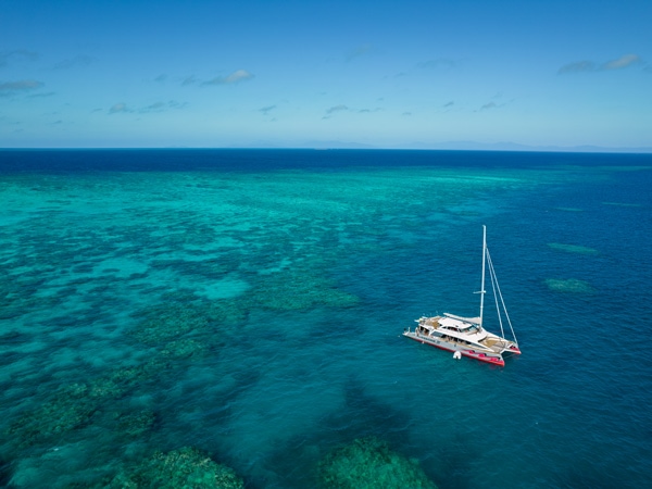 Passions of Paradise at Hastings Reef