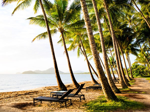 the beach near Alamanda Palm Cove by Lancemore