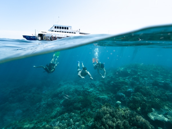 the Sunlover Reef Cruises at Moore Reef