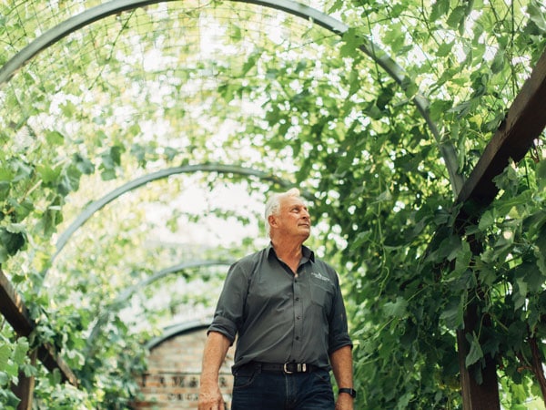 a man admiring the greenery at Tamburlaine Organic Wines