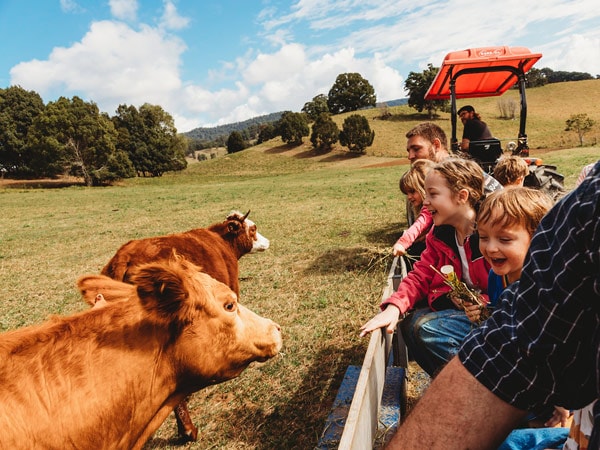 children feeding farm animals at Hosanna Farmstay