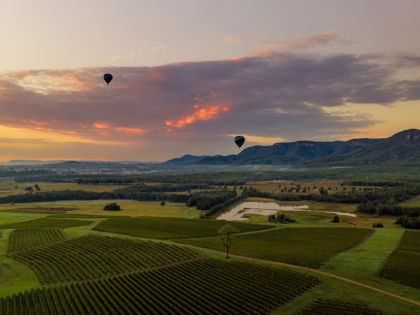 hot air balloons rising above the Hunter Valley