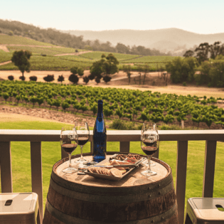 Hunter Valley wineries