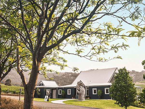 Ivanhoe Wines