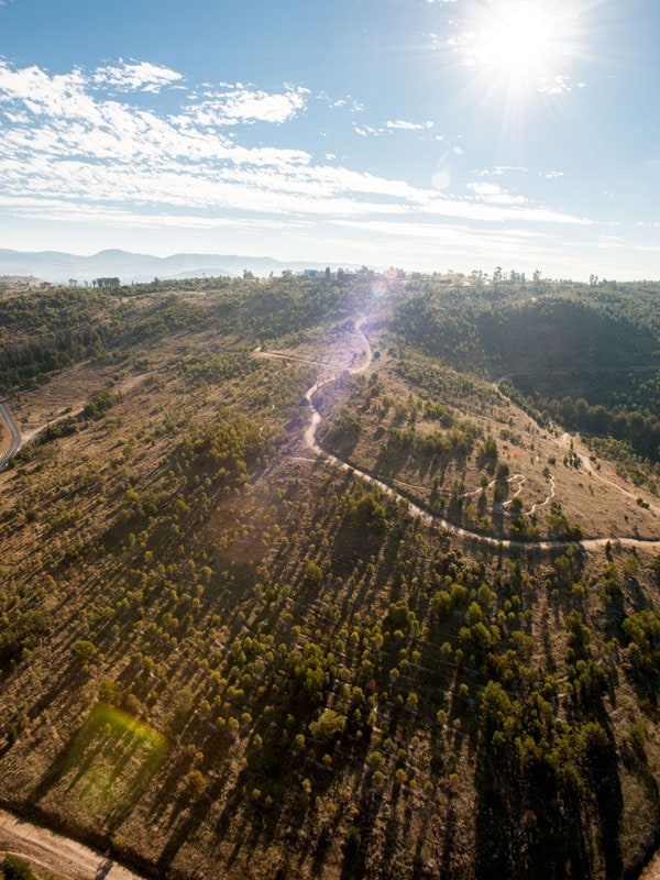 Stromlo Forest Park in Canberra