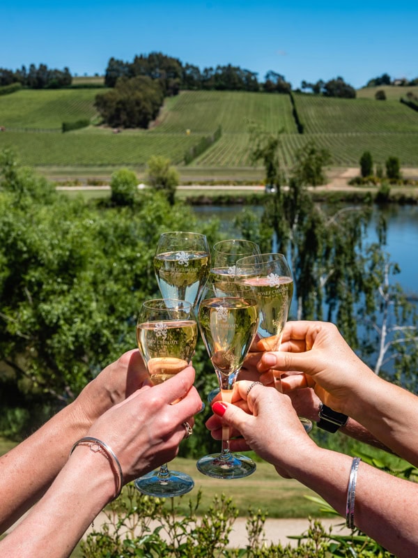 Josef Chromy Wines for Effervescence Tasmania in Launceston