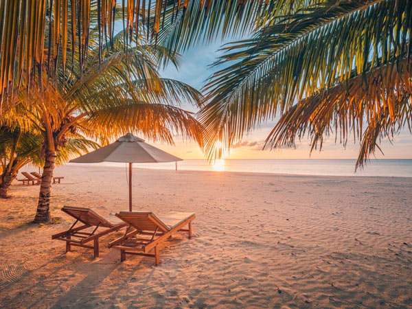 Beach at sunset with umbrella and lounge chairs and palm trees 