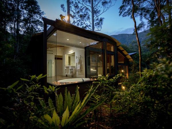 the accommodation within a jungle at Crystal Creek Rainforest Retreat, Murwillumbah accommodation