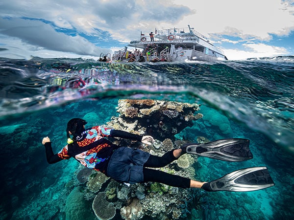 Dreamtime Dive and Snorkel at great barrier reef cairns with AAT Kings