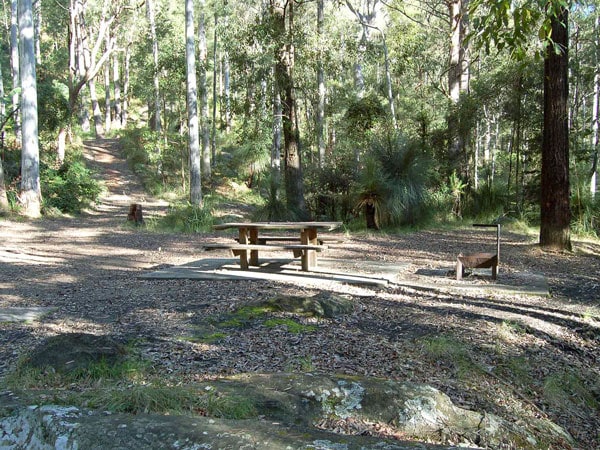 the Gap Creek Campground in the forst