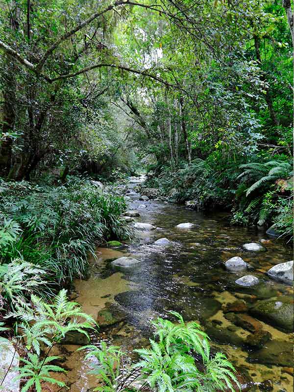 8 Best Hike & Bike Trails Through New England High Country - Australian ...