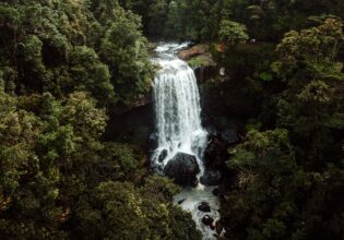 Millaa Millaa Falls near Cairns