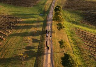 Travel Guide to the Hunter Region of NSW - Australian Traveller