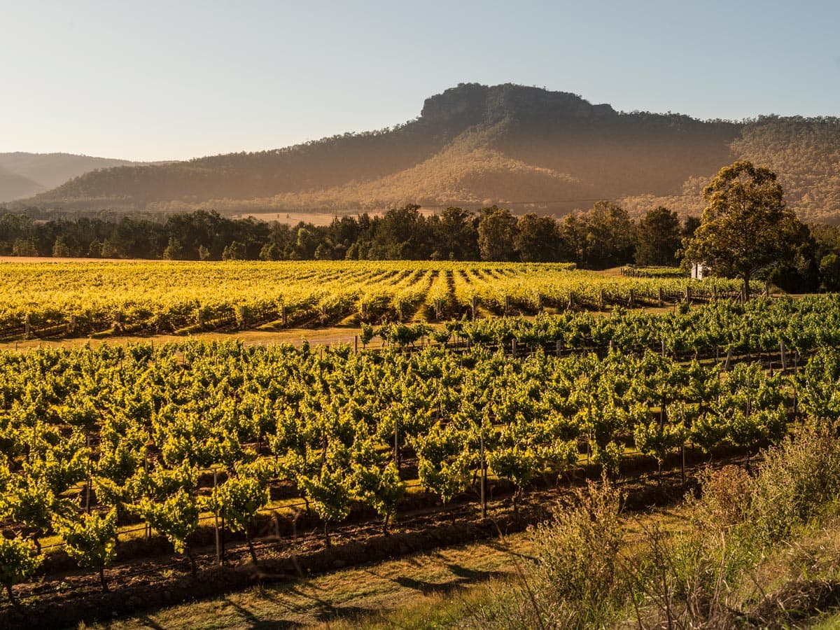 Australia’s first wine region reveals its undiscovered side