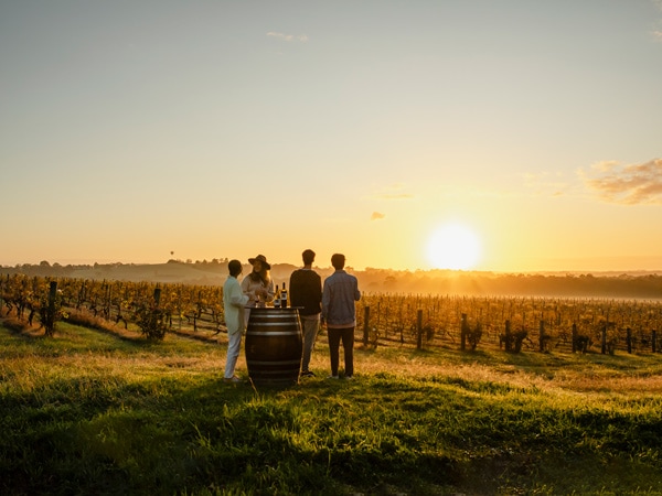 wine tasting at sunset in Hope Estate