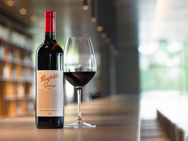 a bottle of wine at Penfolds Magill Estate