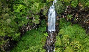 gondwana rainforest experiences, Cameron Falls at Tamborine Mountain