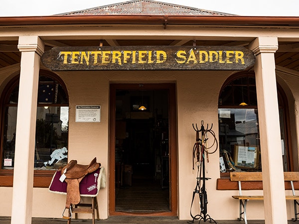 excepto Tenterfield Saddler