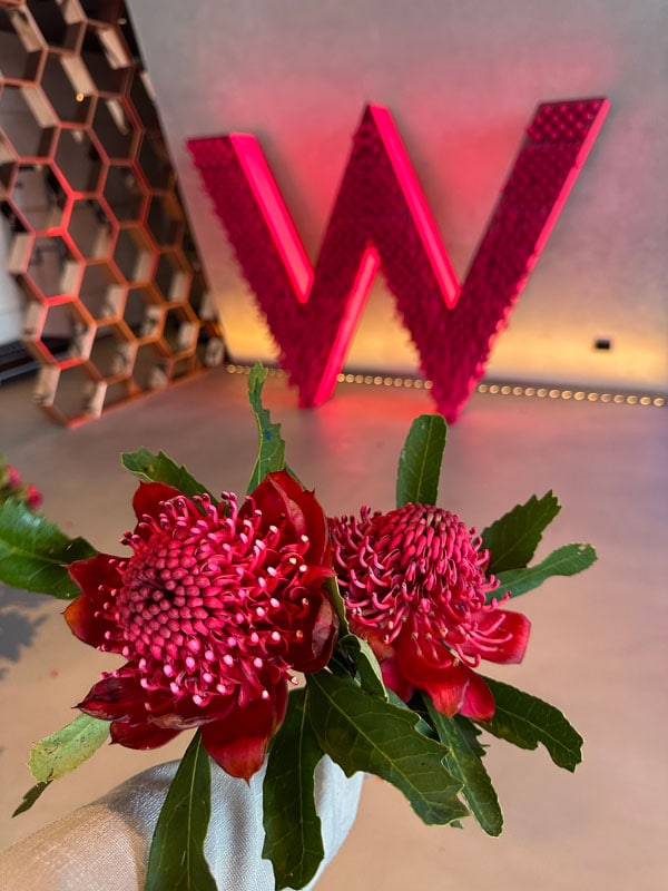 Two waratahs with W sign at W Sydney behind