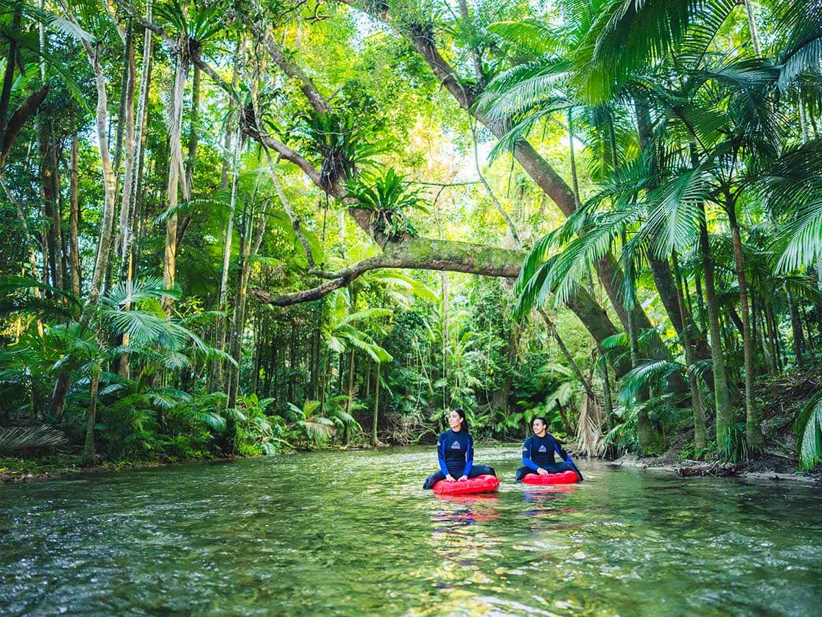 floating along the Daintree River with Back Country Bliss Adventures