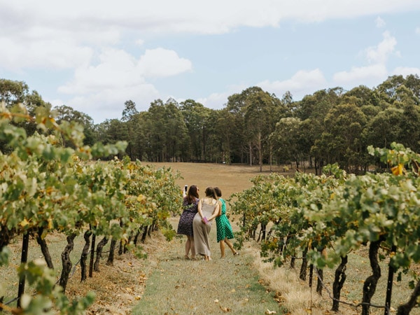back view of guests taking photos in a scenic vineyard, iHop Hunter Valley