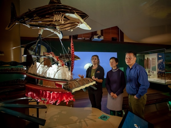 a group of visitors admiring a display inside Australian Museum