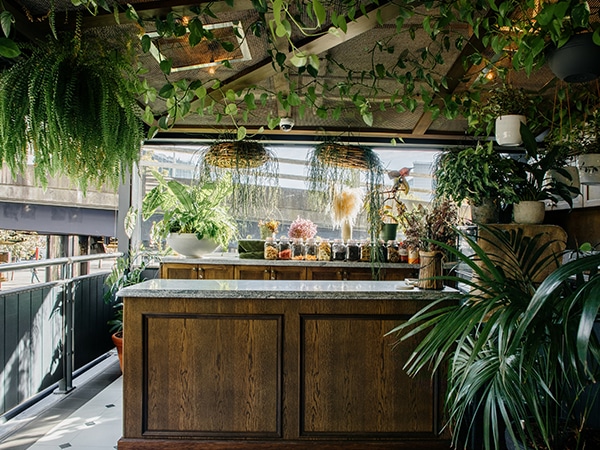 The Terrace Pumphouse Sydney is filled with greenery and hanging plants.