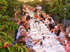 Manjimup Cherry Harmony Festival in Western Australia