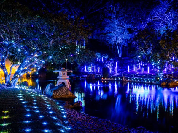 Radiance light festival in Rockhampton