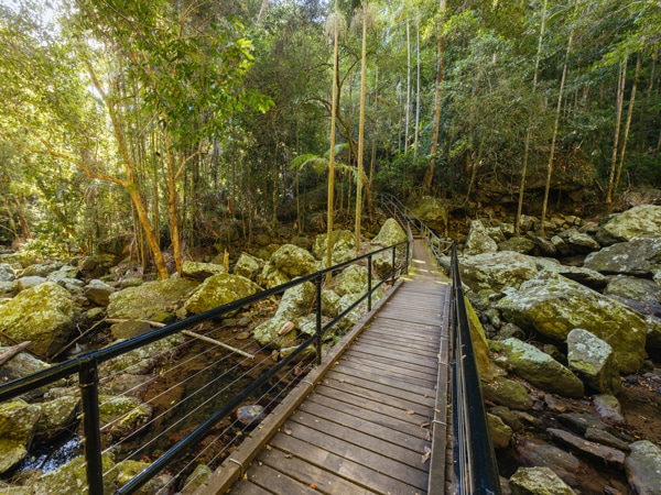 Kondalilla National Park in Queensland