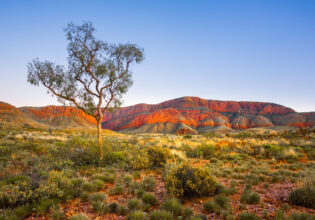 Ormiston Pound, Northern Territory