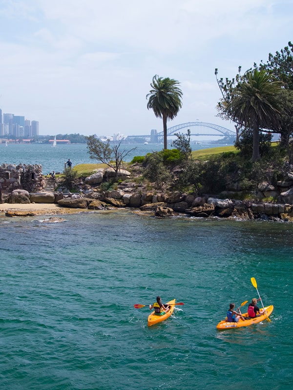 friends enjoying a day of kayaking on Sydney Harbour