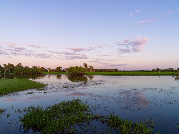 the Kakadu's wetlands