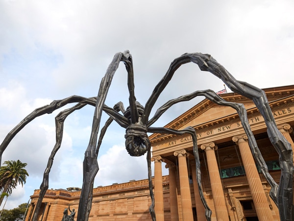 installation of Louise Bourgeois Maman at the Art Gallery of New South Wales