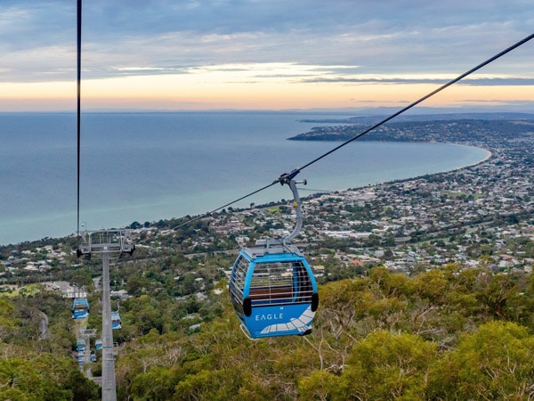 an aerial view of Dromana Beach above the Arthurs Seat Eagle gondola