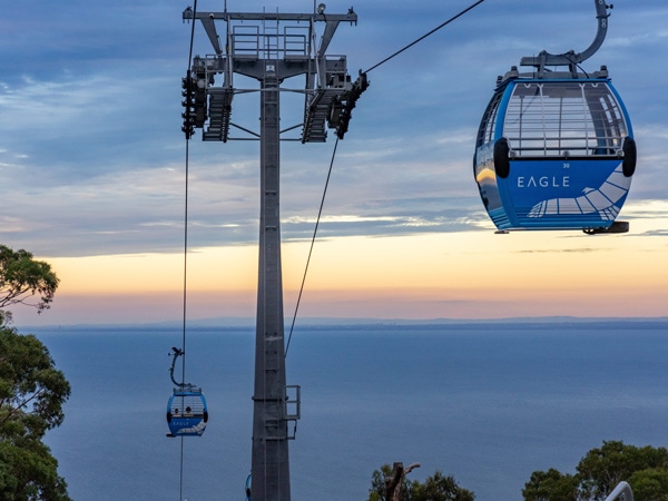 sunset views from the Arthurs Seat Eagle gondola